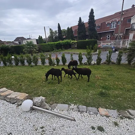 2, De Bonne Waziers