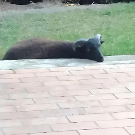 Homestay szállás 2, De Bonne Waziers